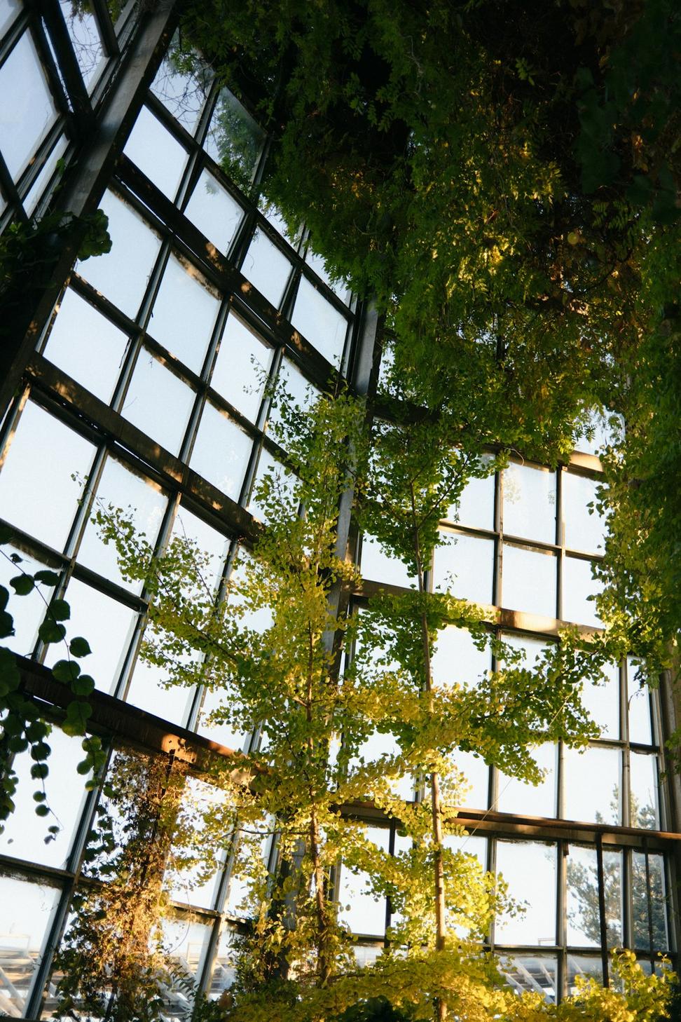 Natural lighting in contemporary space